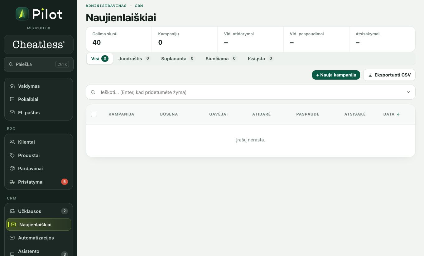 Naujienlaiškiai: ekrano kadras